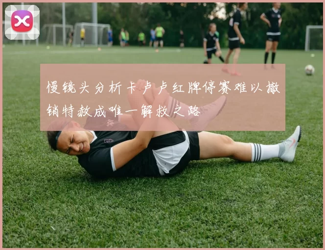 慢镜头分析卡卢卢红牌停赛难以撤销特赦成唯一解救之路