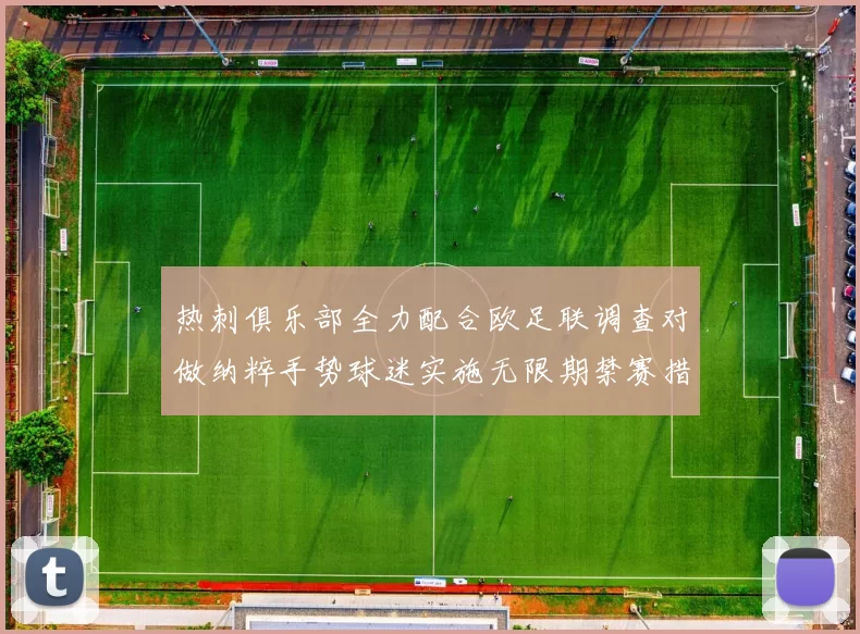 热刺俱乐部全力配合欧足联调查对做纳粹手势球迷实施无限期禁赛措施
