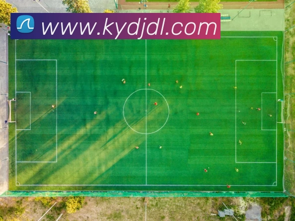 开云电竞App下载平台生态图